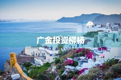 廣金投資柳楊——廣金資本企業(yè)簡(jiǎn)介