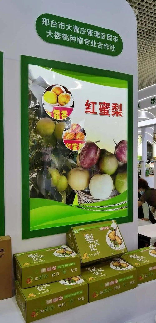 寧晉綠色農(nóng)產(chǎn)品在廈門綠博會(huì)廣受歡迎，水產(chǎn)品零售表現(xiàn)搶眼